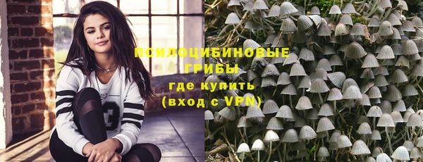 винт Арсеньев