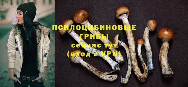 герыч Алзамай