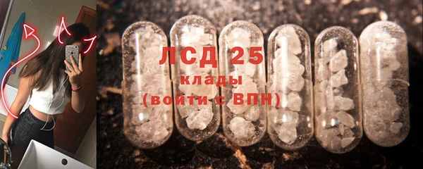 трава Аркадак